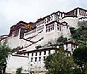 衛生香香精-貢香香精